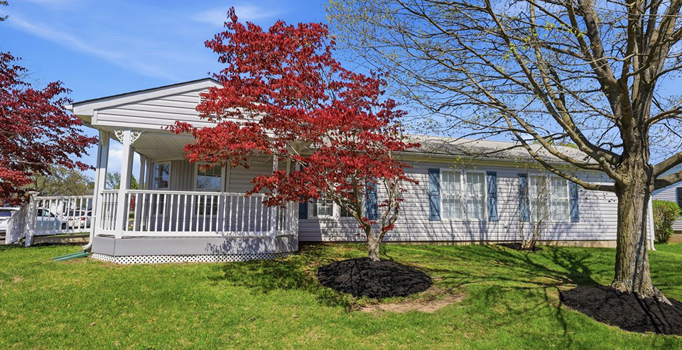 The John McClintock Team